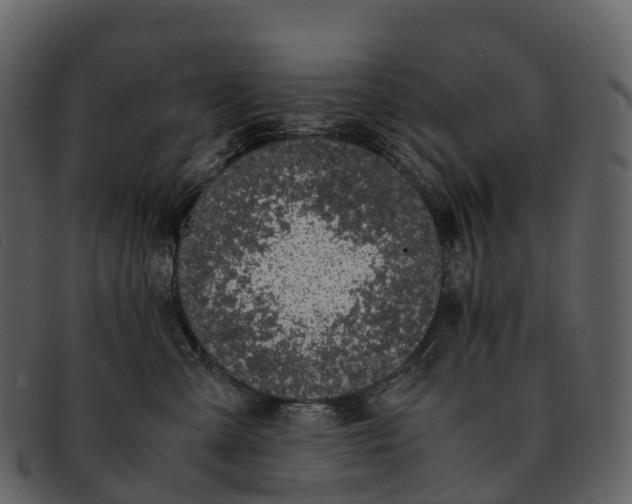 X0000092330427200710051318