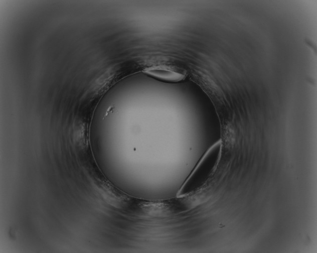 X0000092330428200710051318