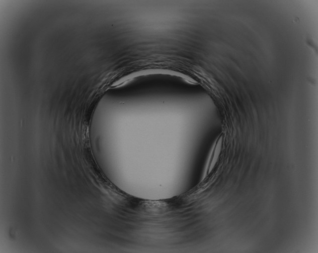 X0000092330429200710051318