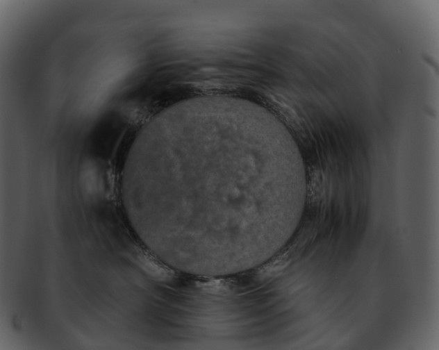 X0000092330430200710051318