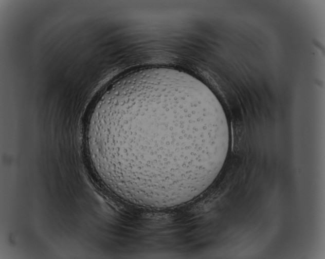 X0000092330435200710051317