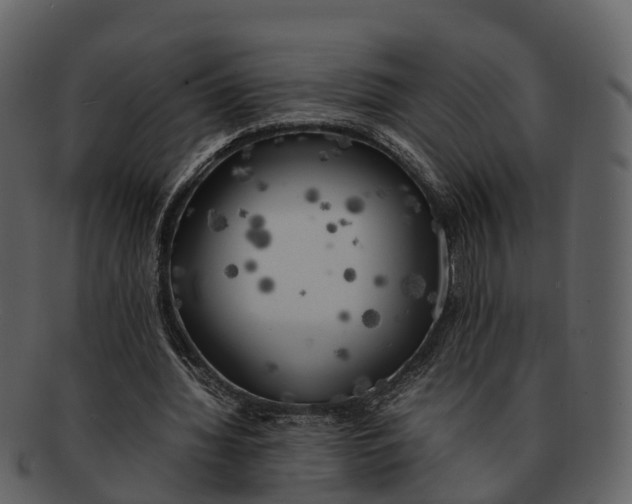 X0000092330436200710051317