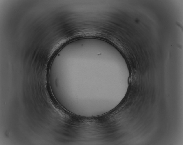 X0000092330438200710051318
