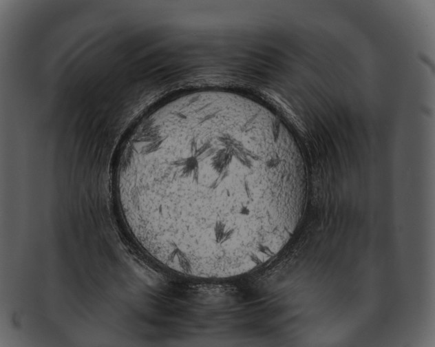 X0000092330439200710051318
