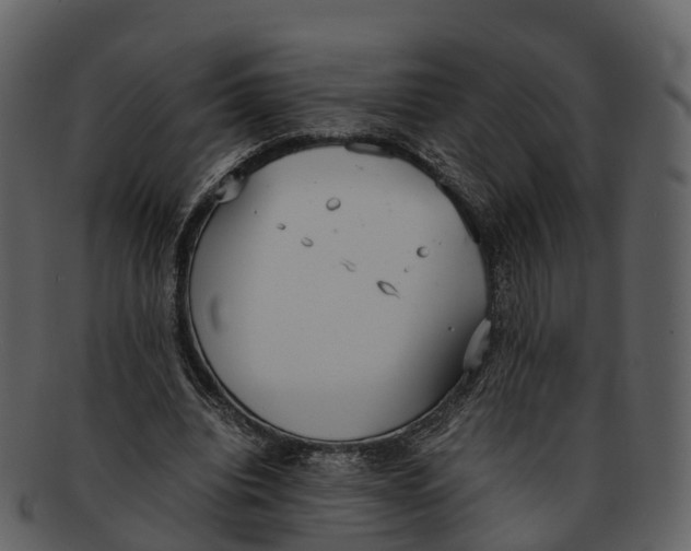 X0000092330440200710051318