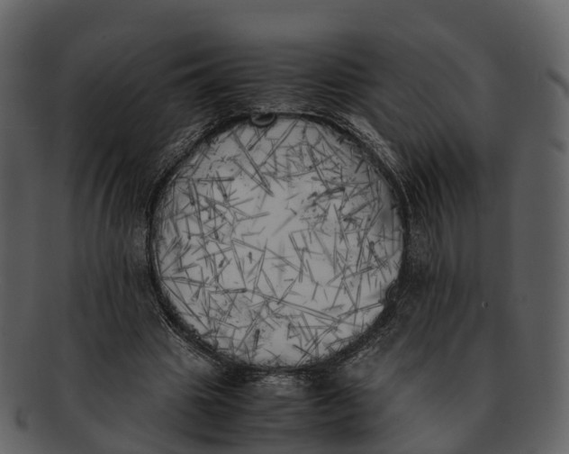 X0000092330441200710051318