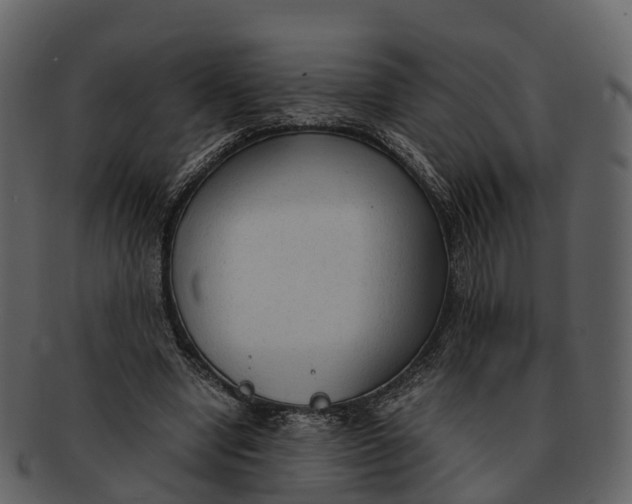 X0000092330442200710051318