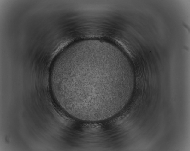 X0000092330443200710051318