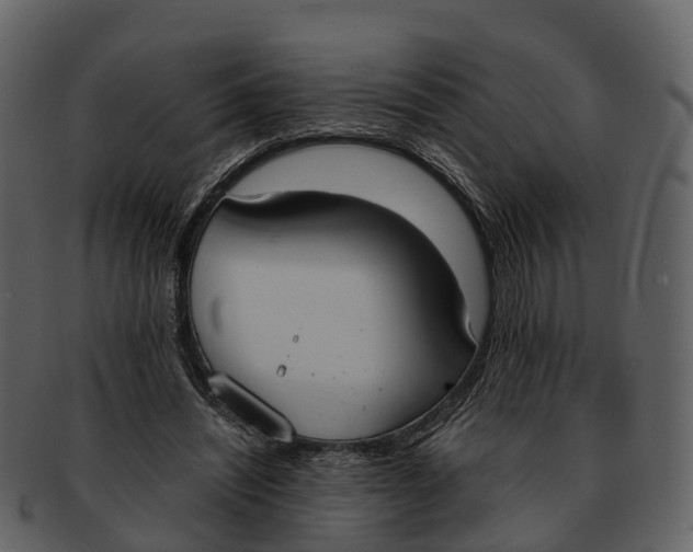 X0000092330444200710051318