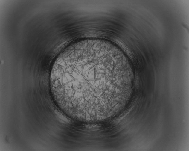 X0000092330445200710051318