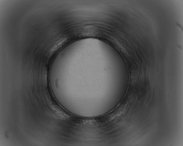 X0000092330446200710051318