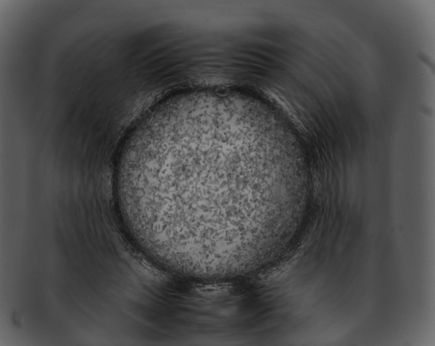 X0000092330447200710051318