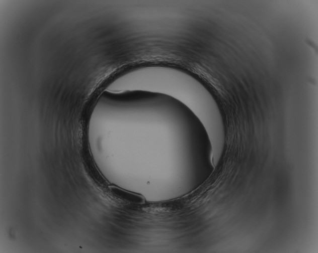 X0000092330448200710051318