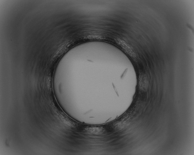 X0000092330449200710051318