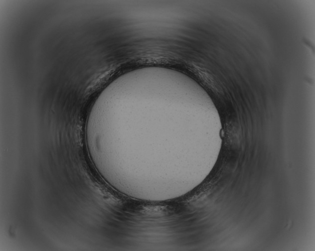 X0000092330450200710051318