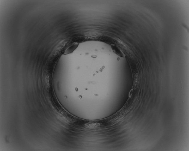 X0000092330452200710051318