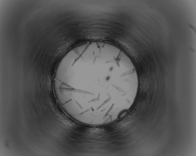 X0000092330453200710051318