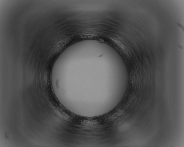 X0000092330455200710051318