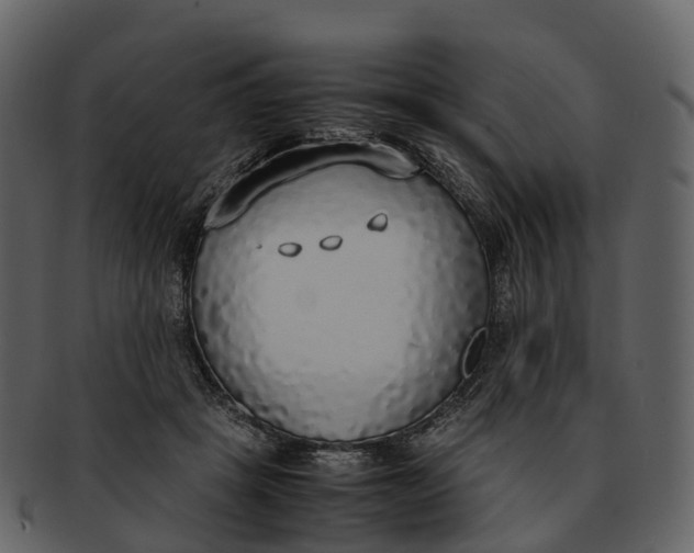 X0000092330457200710051318