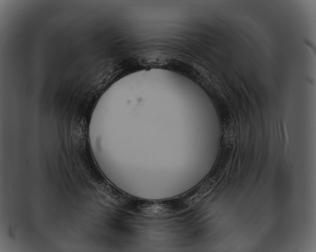 X0000092330460200710051318