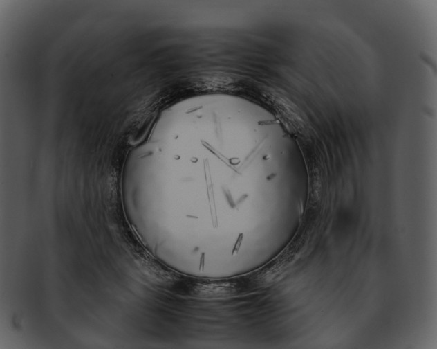 X0000092330461200710051318