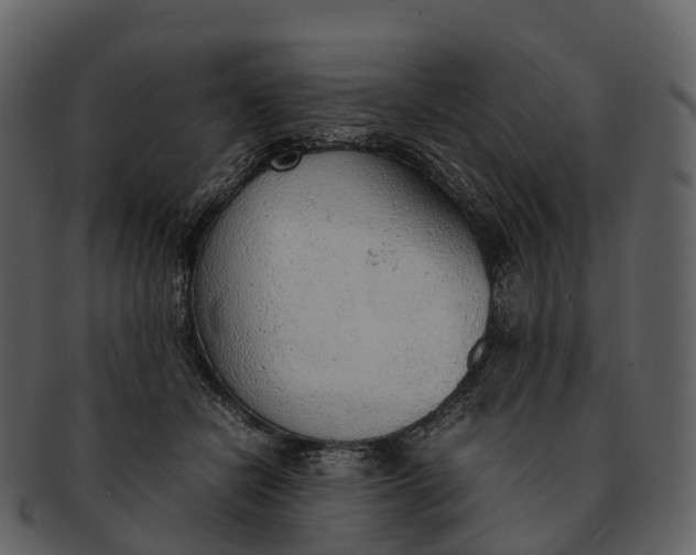 X0000092330462200710051318