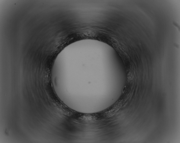 X0000092330464200710051318
