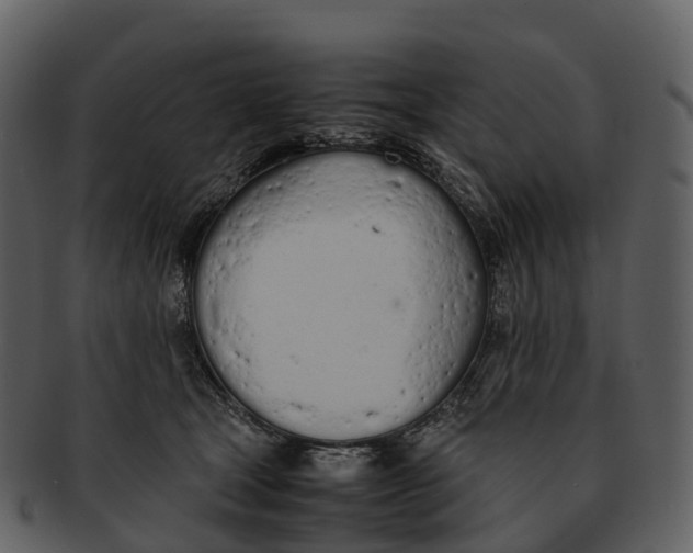 X0000092330465200710051318