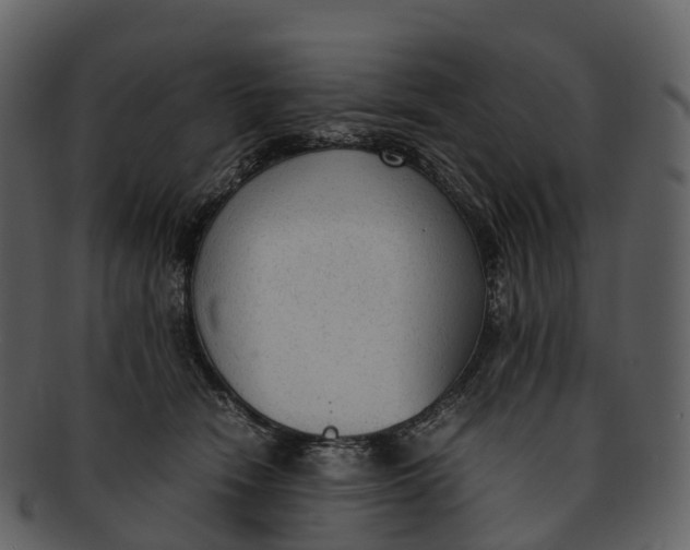 X0000092330466200710051318
