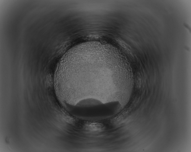 X0000092330467200710051318