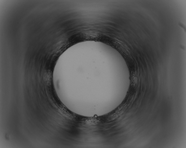 X0000092330468200710051318
