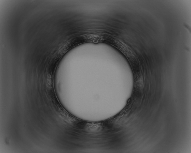 X0000092330469200710051318