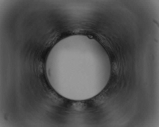 X0000092330470200710051318