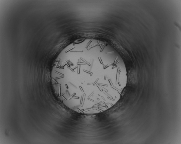 X0000092330474200710051318