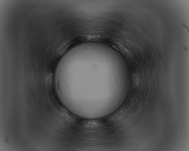 X0000092330475200710051318