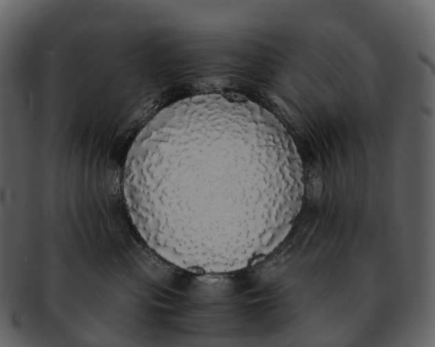 X0000092330477200710051318