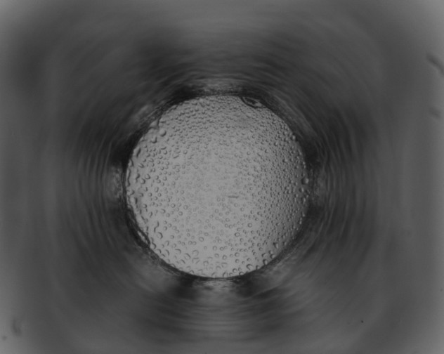 X0000092330478200710051318