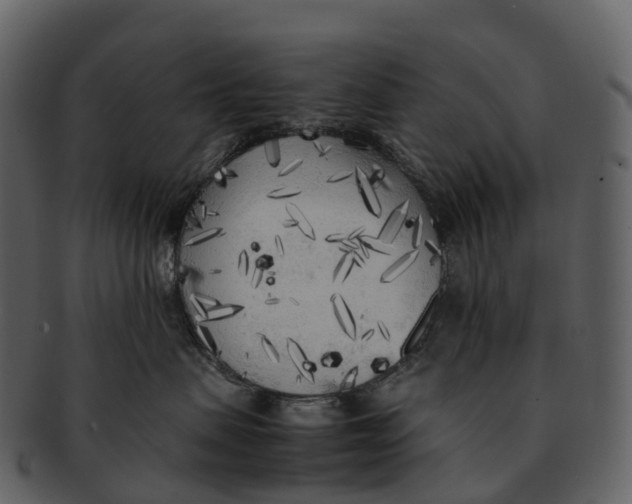 X0000092330479200710051318