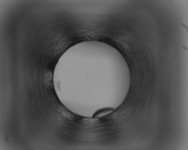 X0000092330480200710051318