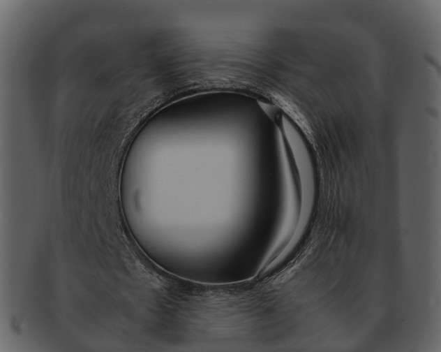 X0000092330481200710051317
