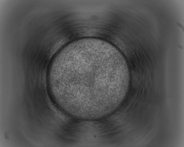 X0000092330482200710051317