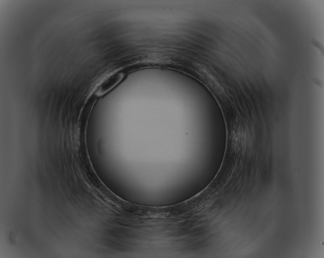 X0000092330484200710051317