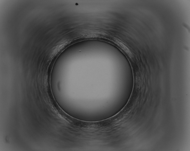 X0000092330485200710051317