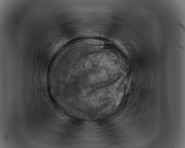 X0000092330487200710051317