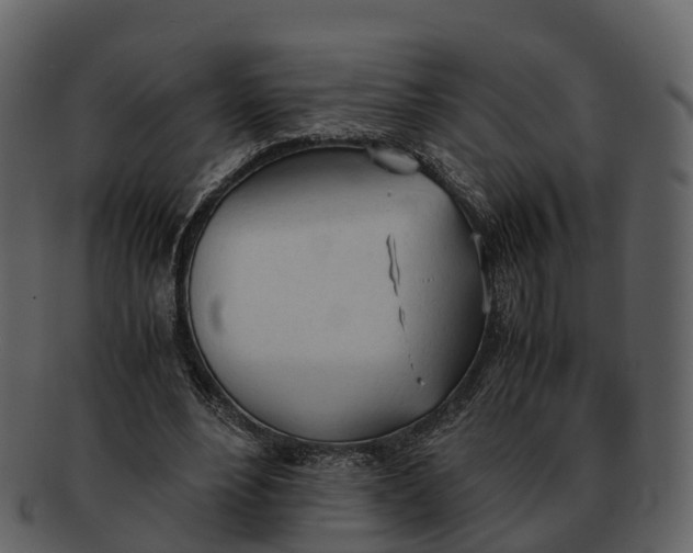 X0000092330488200710051317