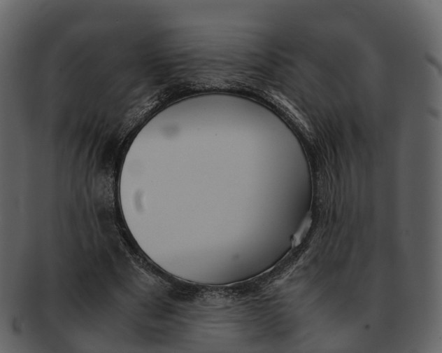 X0000092330489200710051317