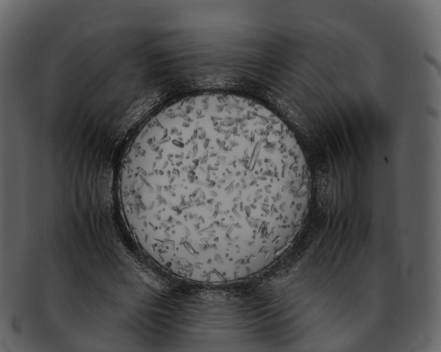 X0000092330490200710051317