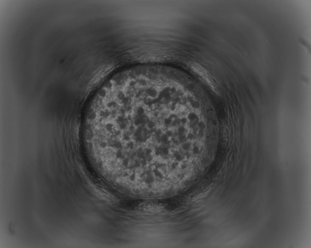 X0000092330491200710051317