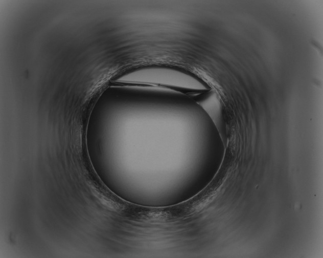 X0000092330493200710051317