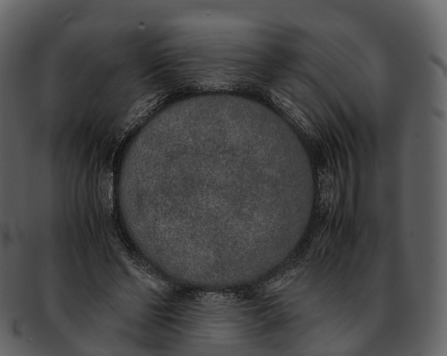 X0000092330494200710051317